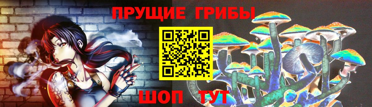 Галлюциногенные грибы MAGIC MUSHROOMS  Вход с VPN  Братск  Галлюциногенные грибы MAGIC MUSHROOMS 